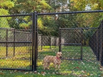 Pet-friendly apartments at three oaks apartments in troy, mi.